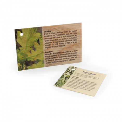 Carte en bois publicitaire - 85x54 mm