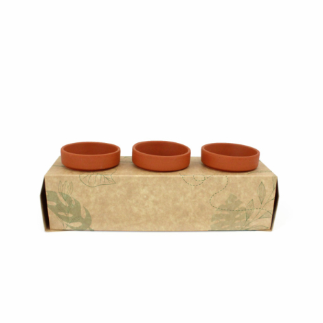 Kit de plantation promotionnel - 3 pots