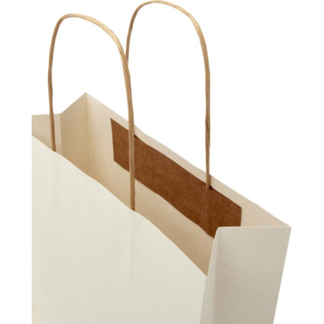 Sac kraft promotionnel résidus agricoles 24x24x9 cm