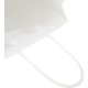 Sac papier recyclable personnalisable moyen modèle 18x23x9 cm