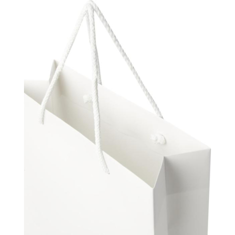 Sac publicitaire en papier recyclable grand modèle 24x36x9 cm