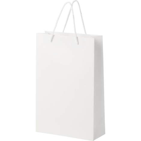 Sac publicitaire en papier recyclable grand modèle 24x36x9 cm