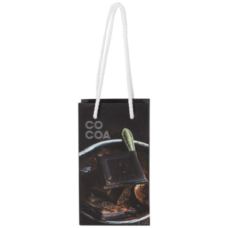 Sac en papier recyclable promotionnel petit modèle 9,5x4x17 cm