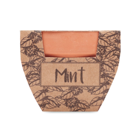 Pot avec graines de menthe personnalisable MINT POT