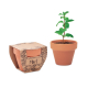 Pot avec graines de menthe personnalisable MINT POT