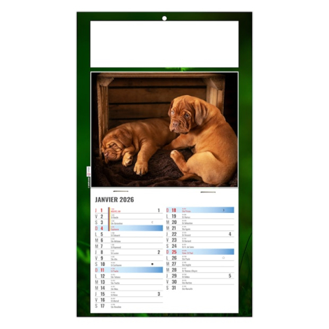 Calendrier 2026 promotionnel plaque 1 vue - Rex