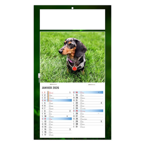 Calendrier 2026 promotionnel plaque 1 vue - Rex