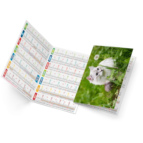 Calendrier de poche personnalisé - Félix