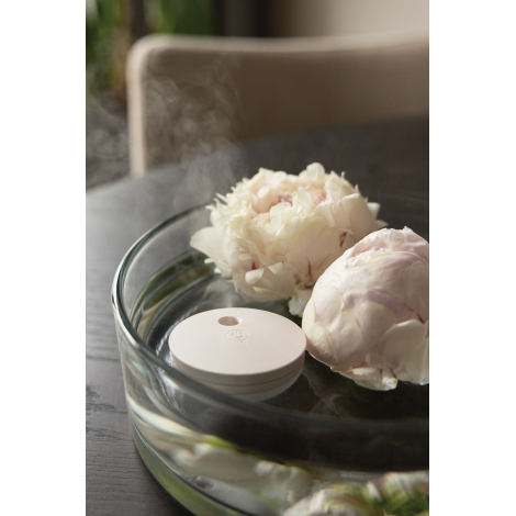 Diffuseur beige dans un récipient en verre avec eau et fleurs, neutre sans personnalisation