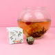 Fleur de thé épanouie dans une théière en verre remplie d’infusion orangée, avec une boîte cartonnée posée à côté.