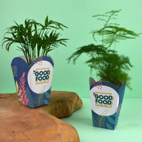 Plante personnalisable en pot popcorn