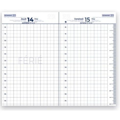 Double page intérieure affichant deux jours (jeudi et vendredi) sur fond quadrillé avec repères horaires et marge graduée.