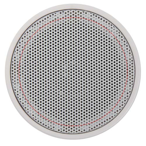 Grille de l'enceinte