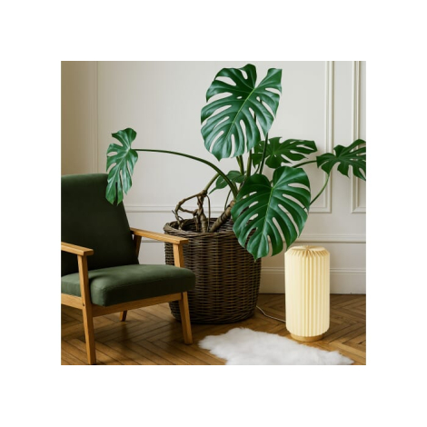 Lampe LED pliable à personnaliser avec socle bois Aurora Tall