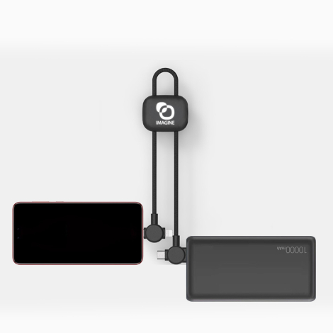 Câble branché entre un téléphone et une batterie de secours sur fond blanc