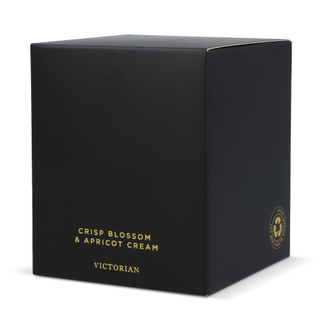 Boîte de présentation noire montrée en vue de trois quarts, surface lisse sans marquage visible.