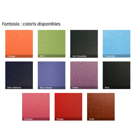 Présentation des différents coloris matière fantasia
