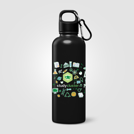 Gourde en acier inoxydable recyclé 750 ml Portland Plus