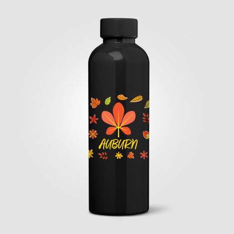 Gourde en rPET brillant 680 ml étanche Norden