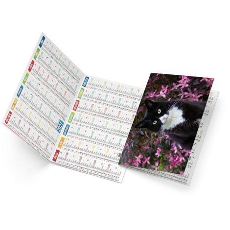 Calendrier de poche personnalisé - Félix