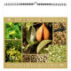 Calendrier illustré publicitaire - Aromates et compagnie