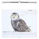 Calendrier illustré publicitaire -POLAIRE