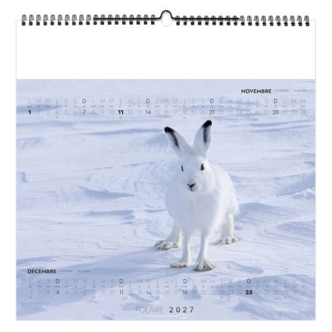 Calendrier illustré publicitaire -POLAIRE