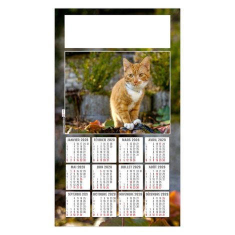Calendrier 2027 promotionnel plaque 1 vue - César