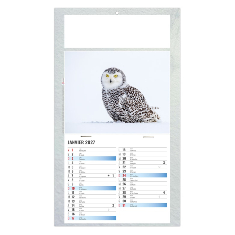 Calendrier plaque 1 vue personnalisable - Julietta