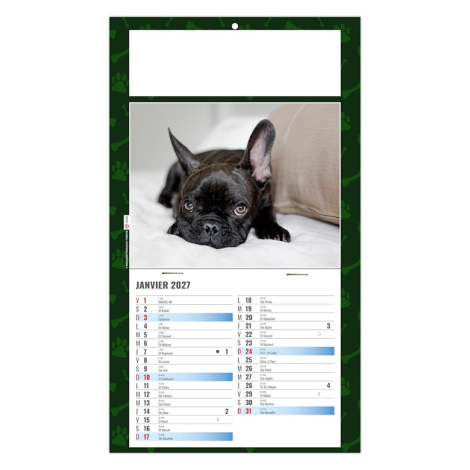 Calendrier 2027 promotionnel plaque 1 vue - Rex