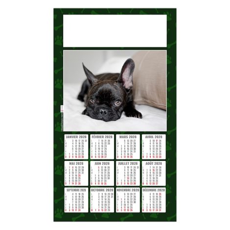 Calendrier 2027 promotionnel plaque 1 vue - Rex