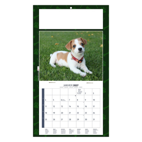 Calendrier 2027 promotionnel plaque 1 vue - Rex