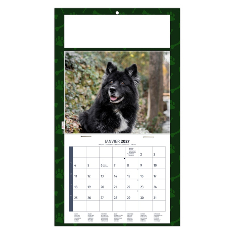 Calendrier 2027 promotionnel plaque 1 vue - Rex