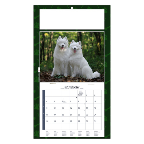 Calendrier 2027 promotionnel plaque 1 vue - Rex