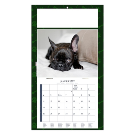 Calendrier 2027 promotionnel plaque 1 vue - Rex