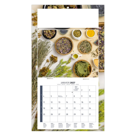 Calendrier publicitaire plaque 1 vue - Phyto