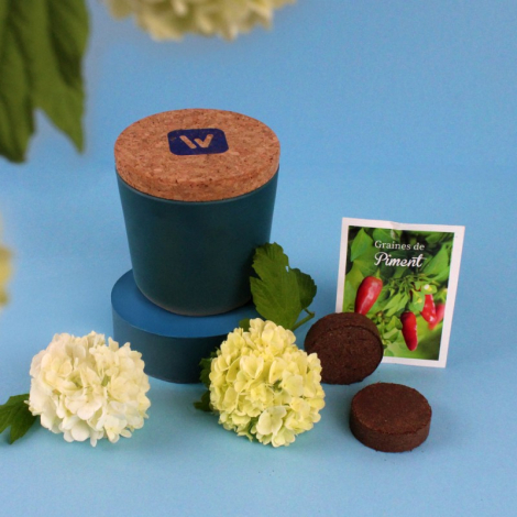 Kit de plantation publicitaire en pot bambou
