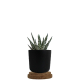 Plante en pot bambou personnalisable