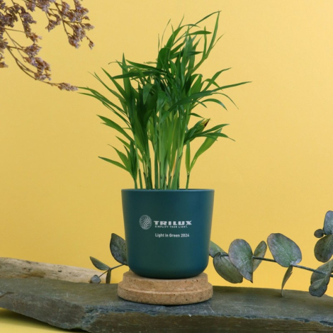 Plante en pot bambou personnalisable