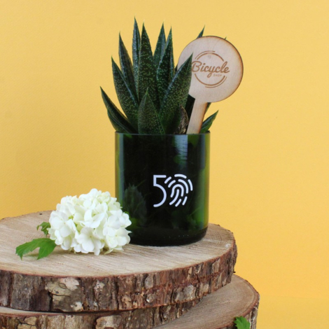 Plante en pot verre personnalisable