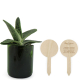 Plante en pot verre personnalisable
