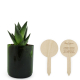Plante en pot verre personnalisable