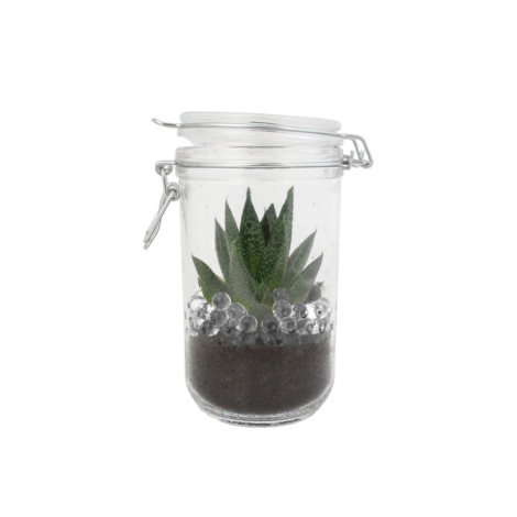 Plante en bocal à personnaliser