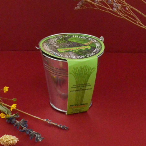 Kit de plantation personnalisable pot en zinc