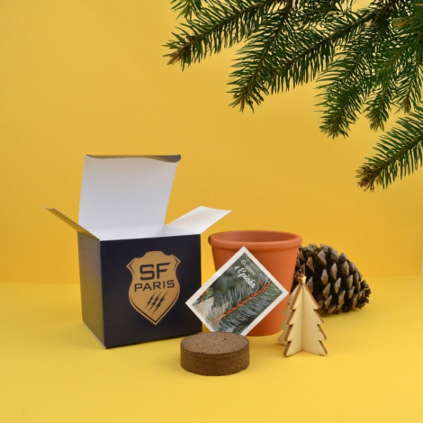 Cube de plantation publicitaire 7 ou 10 cm