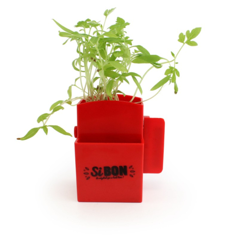 Kit de plantation publicitaire - Végétal Box
