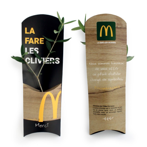 Plant d'arbre dans un étui carton publicitaire