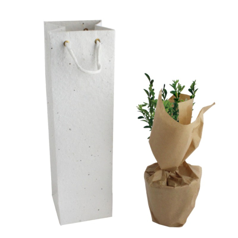 Plant d'arbre dans sac kraft publicitaire