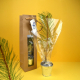 Plant d'arbre dans sac kraft publicitaire