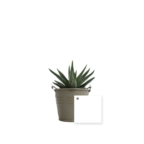 Mini plante dépolluante en pot zinc publicitaire